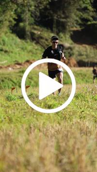 BIB:  <button type="button" onclick="openModal(26565562)" class="btn btn-primary btn-sm float-right" data-toggle="modal" data-target=".modal-high-quality">
                <i class="fa fa-download"></i> Download
                </button>